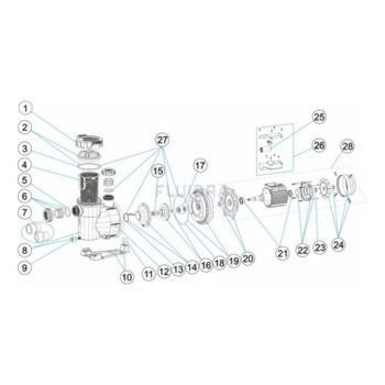 ASTRALPOOL Ersatzteile für Pumpe VICTORIA PLUS SILENT