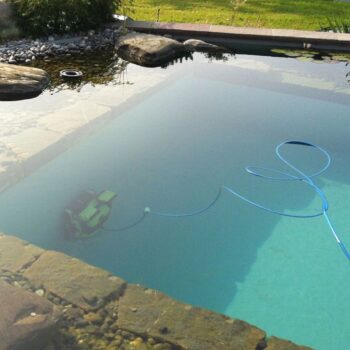 DOLPHIN Poolroboter BIO SUCTION mit Caddy, PVC-Bürsten grau inkl. Fernsteuerung