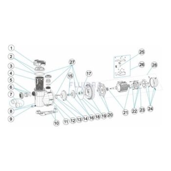 ASTRALPOOL Ersatzteile für Pumpe VICTORIA PLUS SILENT VS – Bild 3