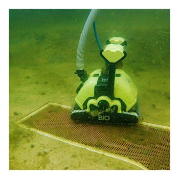 DOLPHIN Poolroboter BIO SUCTION mit Caddy, PVC-Bürsten grau inkl. Fernsteuerung