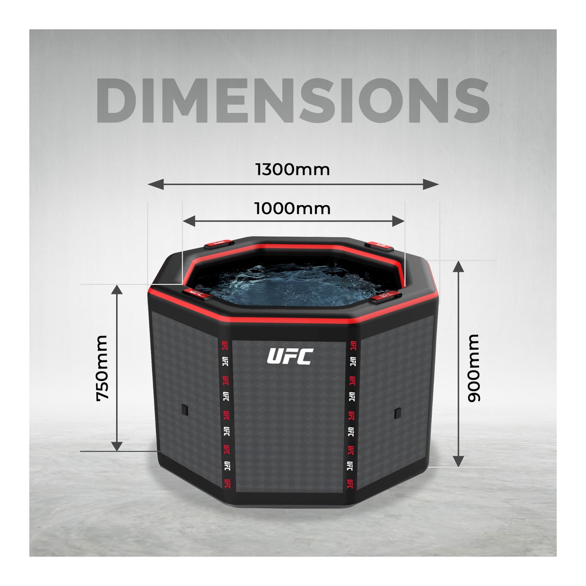 NETSPA Eisbad OCTAGON – Bild 2