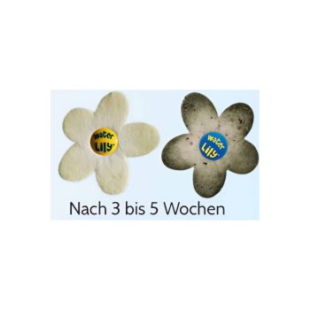 ASTRALPOOL Absorptionstuch TOUCAN WATER LILY – Bild 2